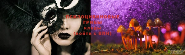 МДМА Каменка