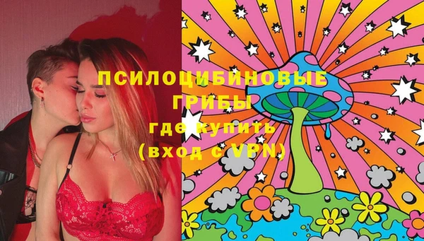 МДПВ Каменногорск
